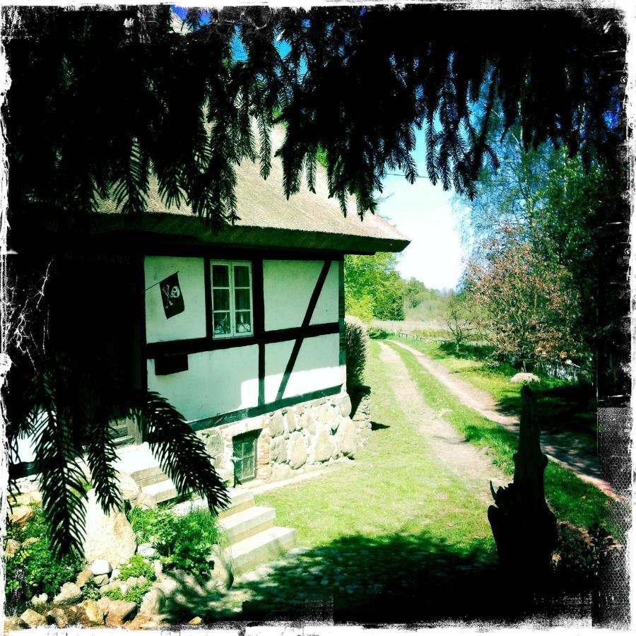 Zirkow Apartment Vera, Naehe Binz In Traumhafter Alleinlage, 4-8 P. מראה חיצוני תמונה
